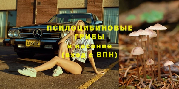 гидра Михайловск