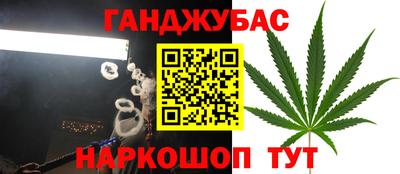 эйфоретик Краснодар