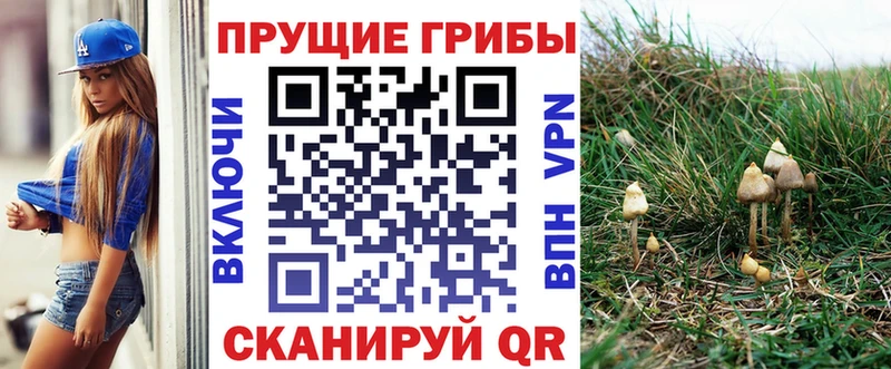 Галлюциногенные грибы мухоморы Саров