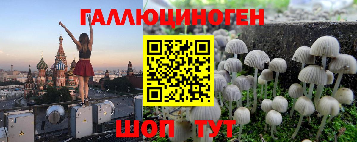 Галлюциногенные грибы мицелий  даркнет сайт  Саров  Вход с VPN  Галлюциногенные грибы ЛСД 