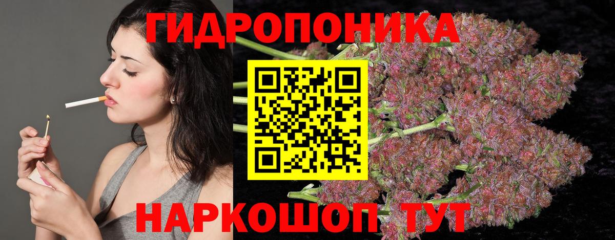 Бошки марихуана семена  Вход с VPN  Канабис THC 21%  Канабис Amnesia  Шишки марихуана индика  Саров 