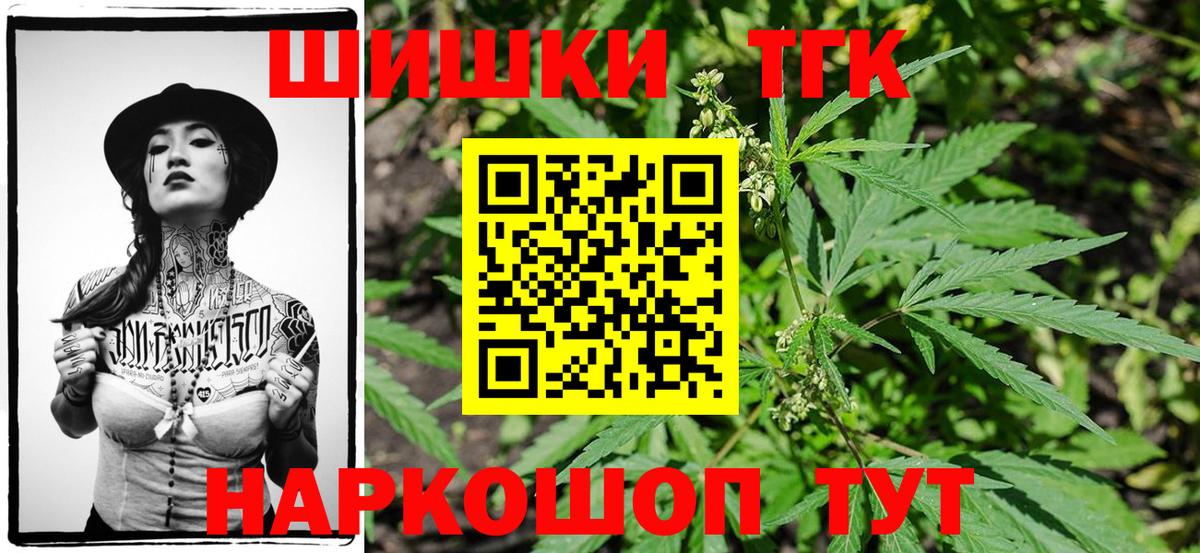 Бошки Шишки план Саров